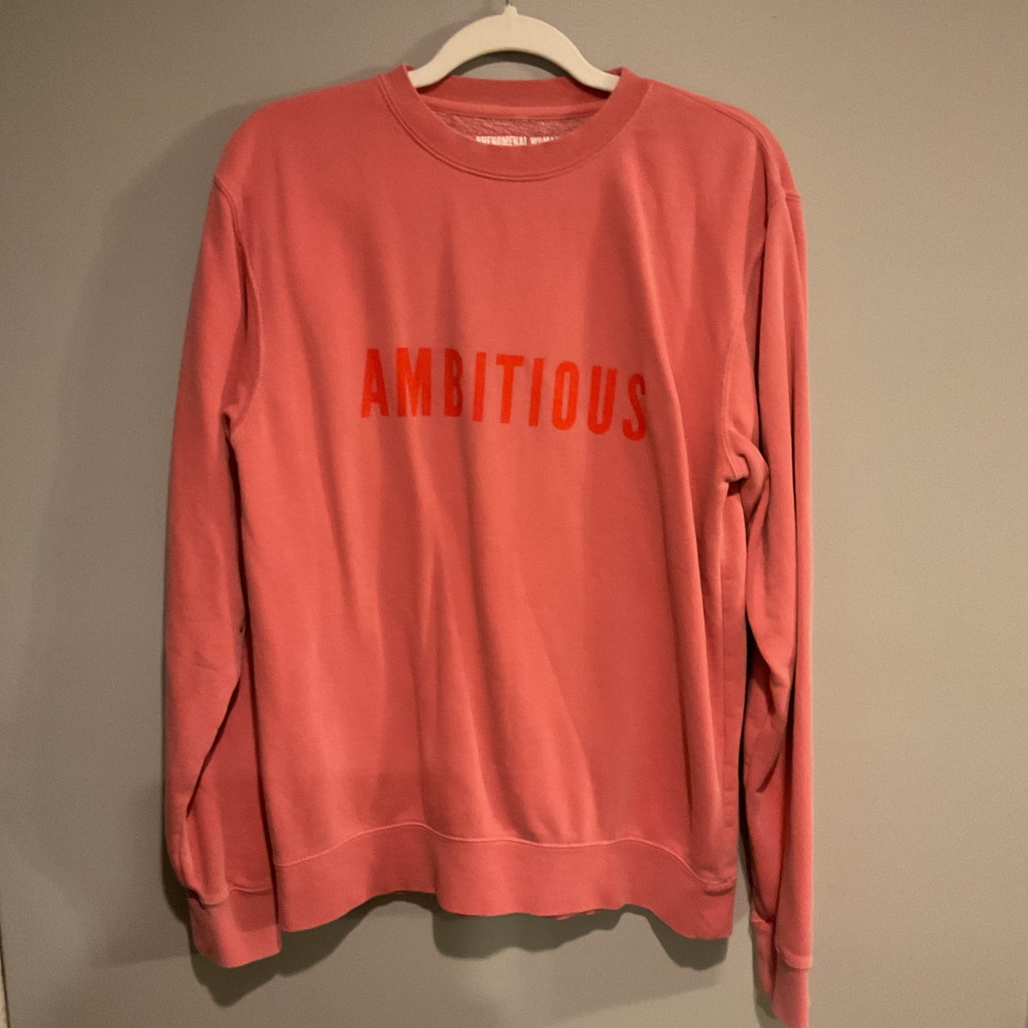 PHENOMENAL WOMEN ACTION CAMPAIGN SWEATSHIRT